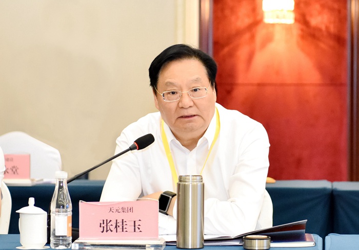 张桂玉董事长出席首届临商大会并在建材产业对接会上作交流发言(图1)